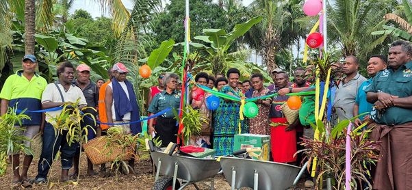 Disease-Free Coconut Nurseries In Papua New Guinea To Support White Copra Revival And Rural Livelihoods