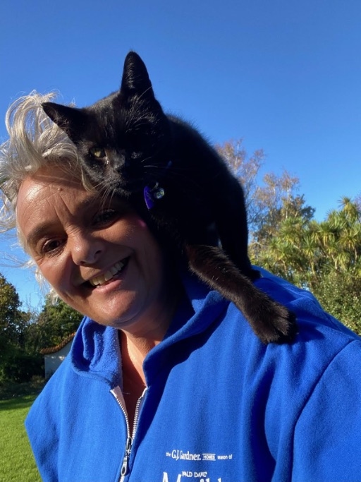 Pukekura Park The Purr-Fect Setting For Ross The Cat Video With Help From NPDC Creative Communities Funding