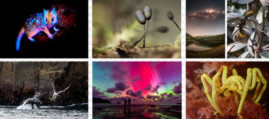 2025 Beaker Street Science Photography Finalists Announced