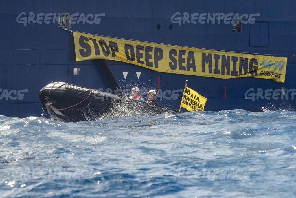 Threatened Whale Species In The Pacific Found In Areas Targeted By The Metals Company For Deep Sea Mining