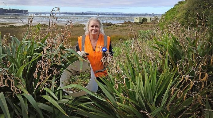 Jacquie Ashton Leads The Charge For A Pest-Free Ōmokoroa