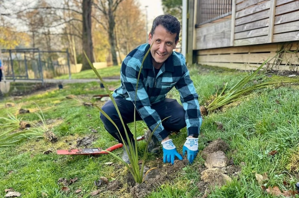 Thousands Of Free Native Plants For Lower Hutt – Let's Get More In The Ground