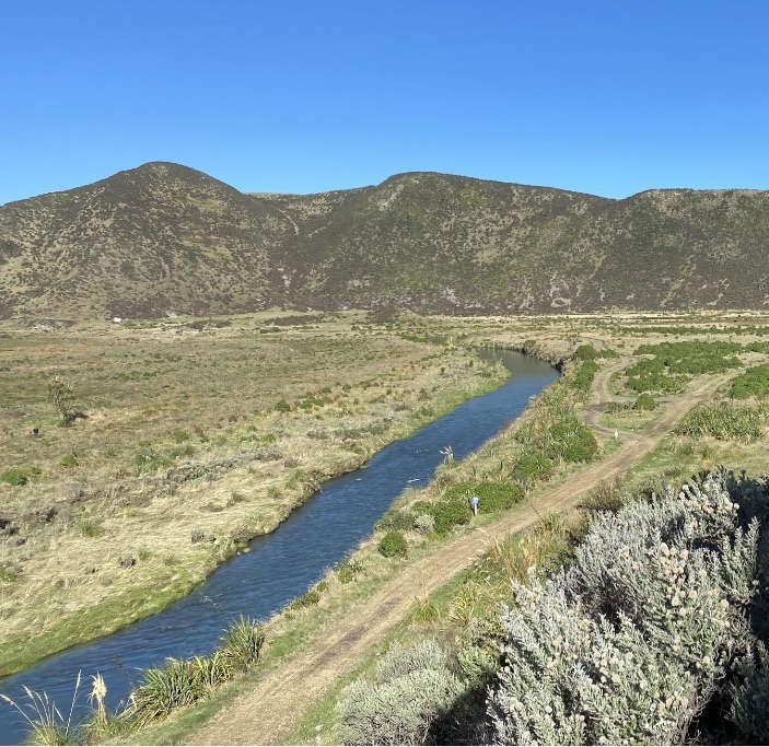 Planting Day At Ōrua-Pouanui/Baring Head Restores The Mauri Of The Land And People