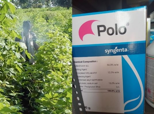 Switzerland (Ba Sel) Court Advances Proceedings Against Syngenta
