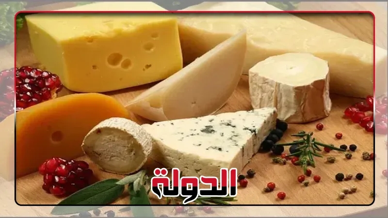 تابع سعر الأجبان في مصر اليوم 28 يونيو
