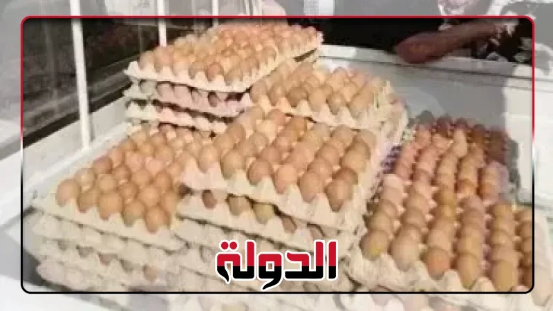 أسعار البيض في مصر اليوم 16 يوليو