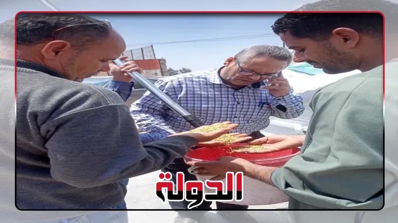 المواقع التخزينيةتستقبل ٢٥٩٥٥9طن من القمح بمحافظة الشرقية