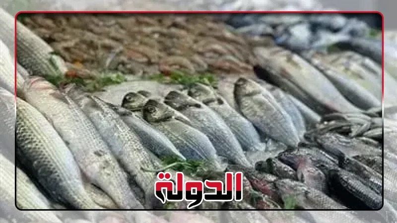 أسعار الأسماك اليوم الأربعاء 16 يوليو