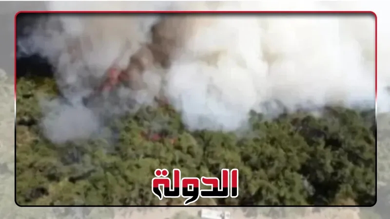اندلاع حرائق واسعة فى غابات الساحل السورى