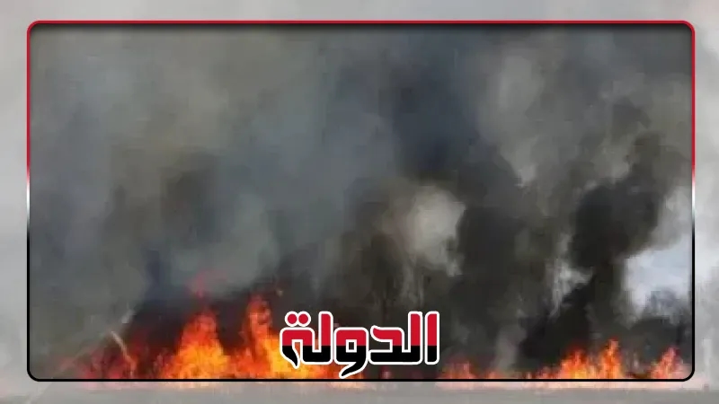 سوريا تواجه أسوأ حرائق غابات في تاريخها