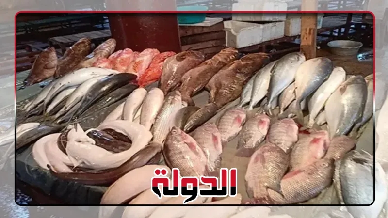 أسعار السمك والجمبري في سوق العبور اليوم الأحد 27 يوليو 2025