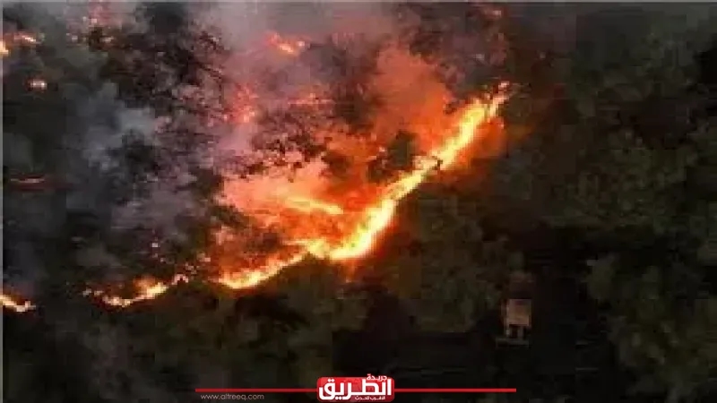 سوريا تواجه أسوأ حرائق غابات في تاريخها.. وأكثر من 10 آلاف هكتار تلتهمها النيران