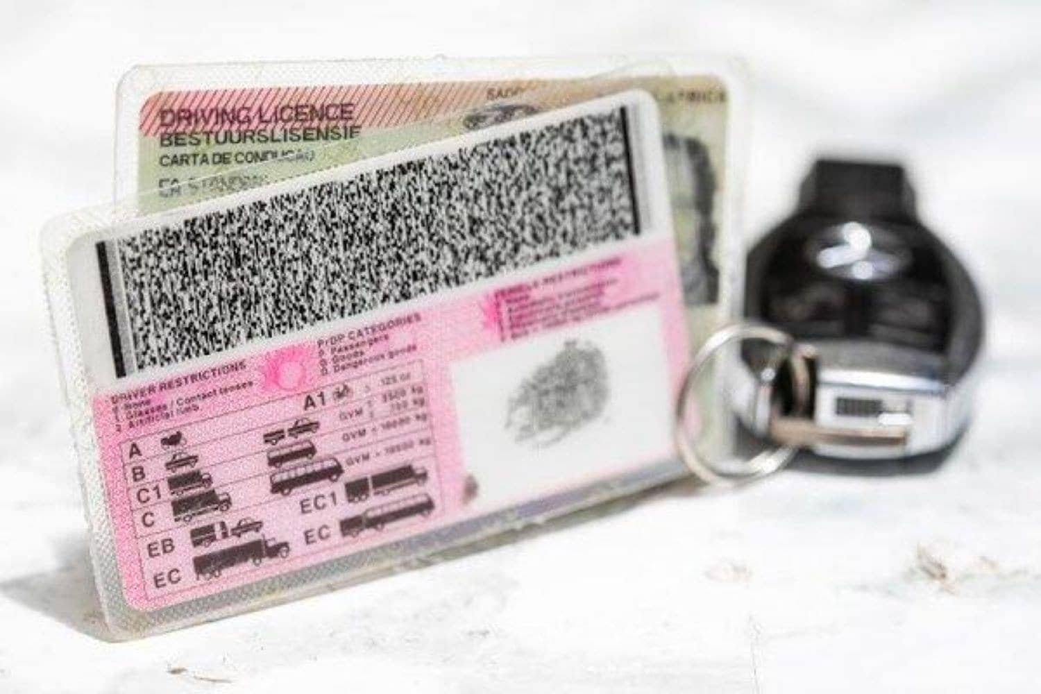 DA demands full AG report on R400m driving licence tender