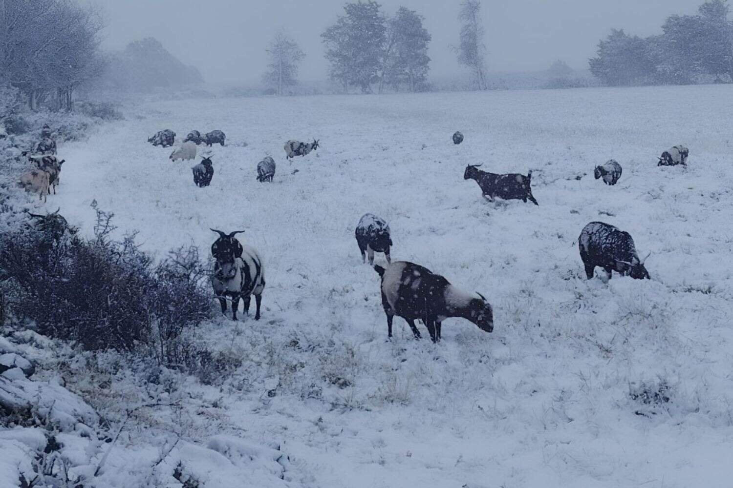 Eastern Cape faces snow warning after floods leave 101 dead