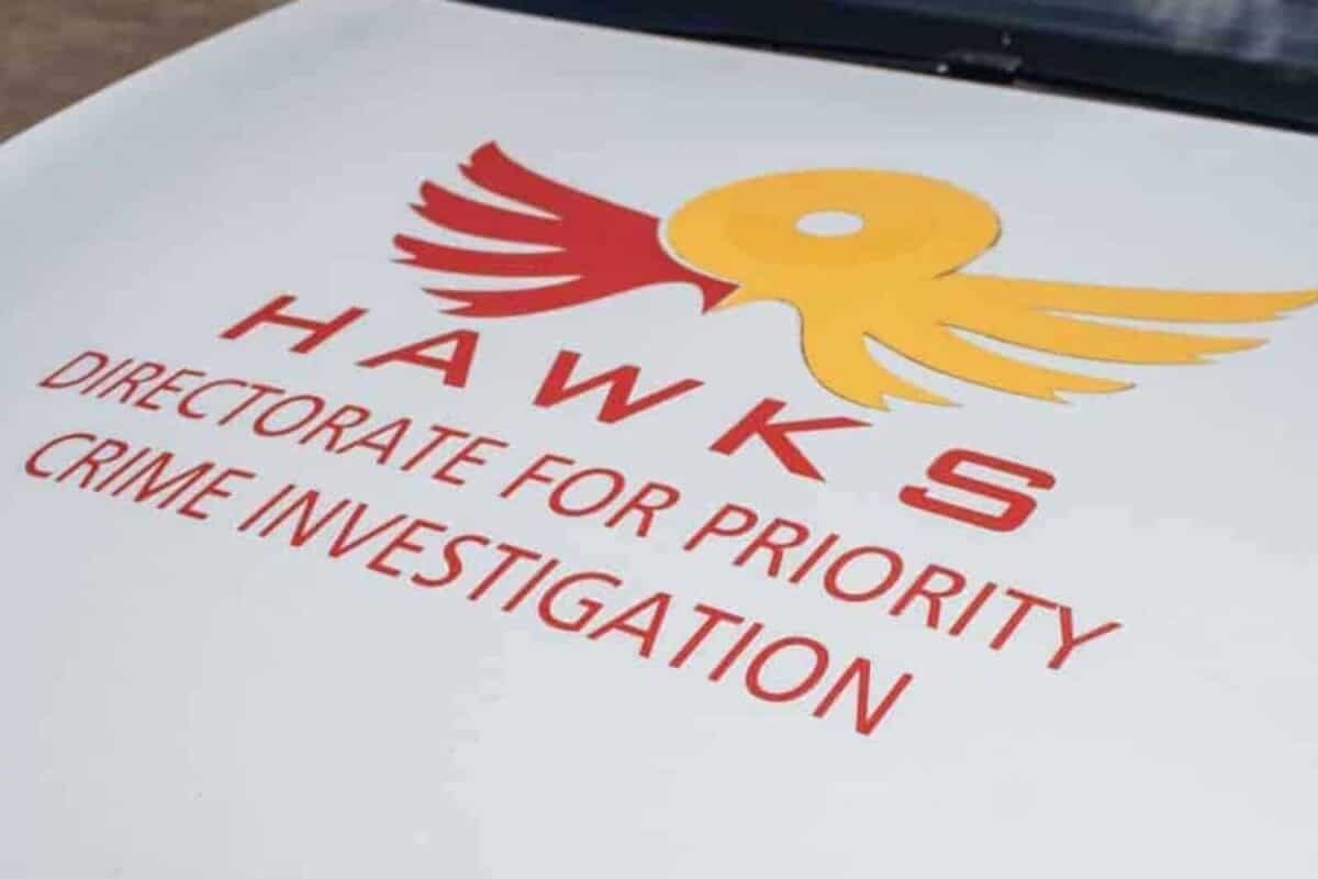 Hawks officials accused of theft at Dragon City released