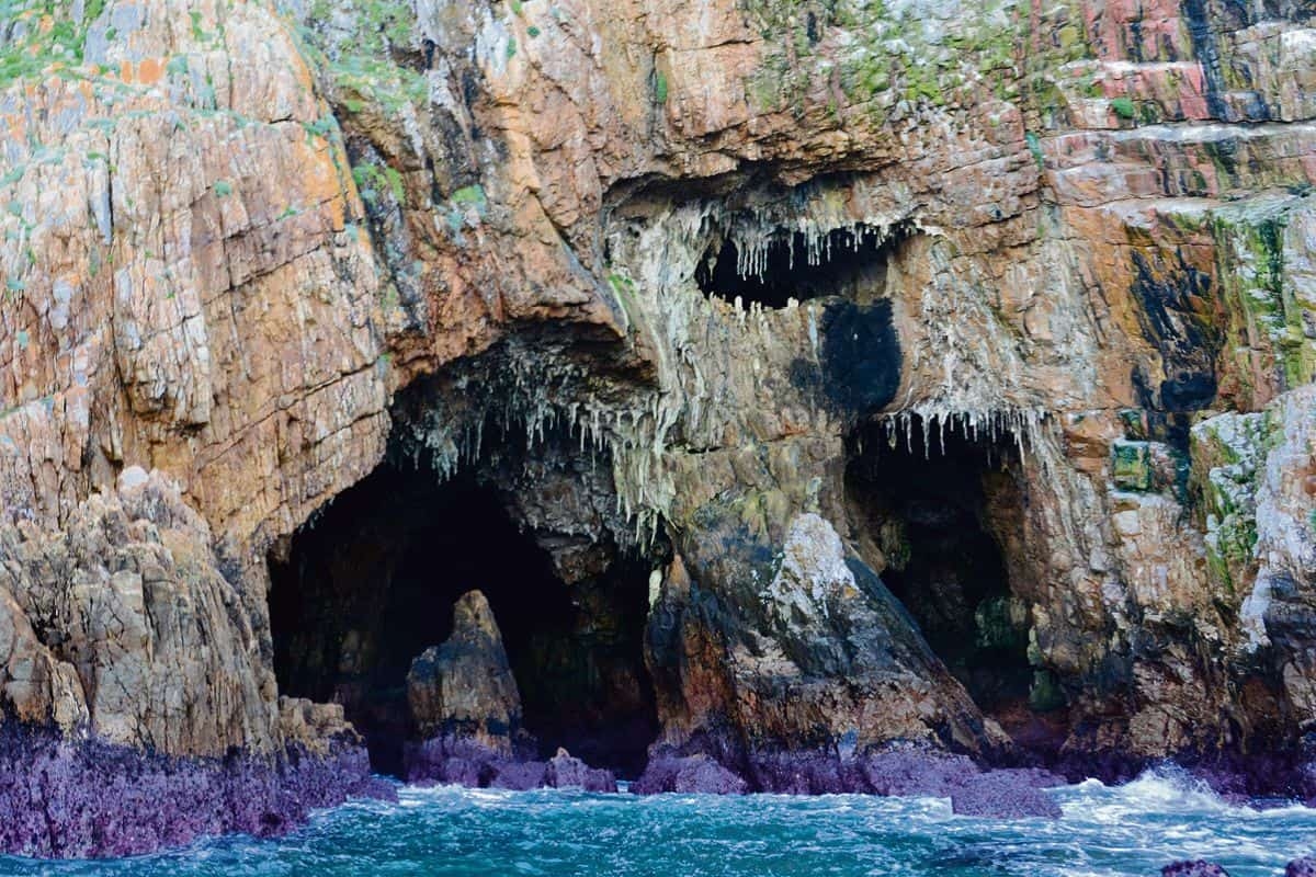 Unleash your inner oyster in Knysna