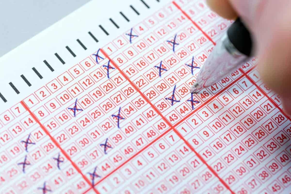 Lotto and Lotto Plus results: Wednesday, 4 June 2025