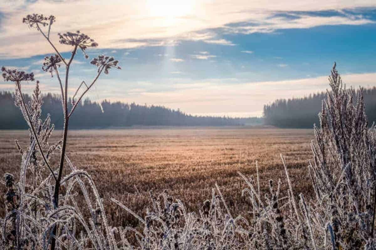 Freezing winds and snowfall deepen South Africa's winter chill