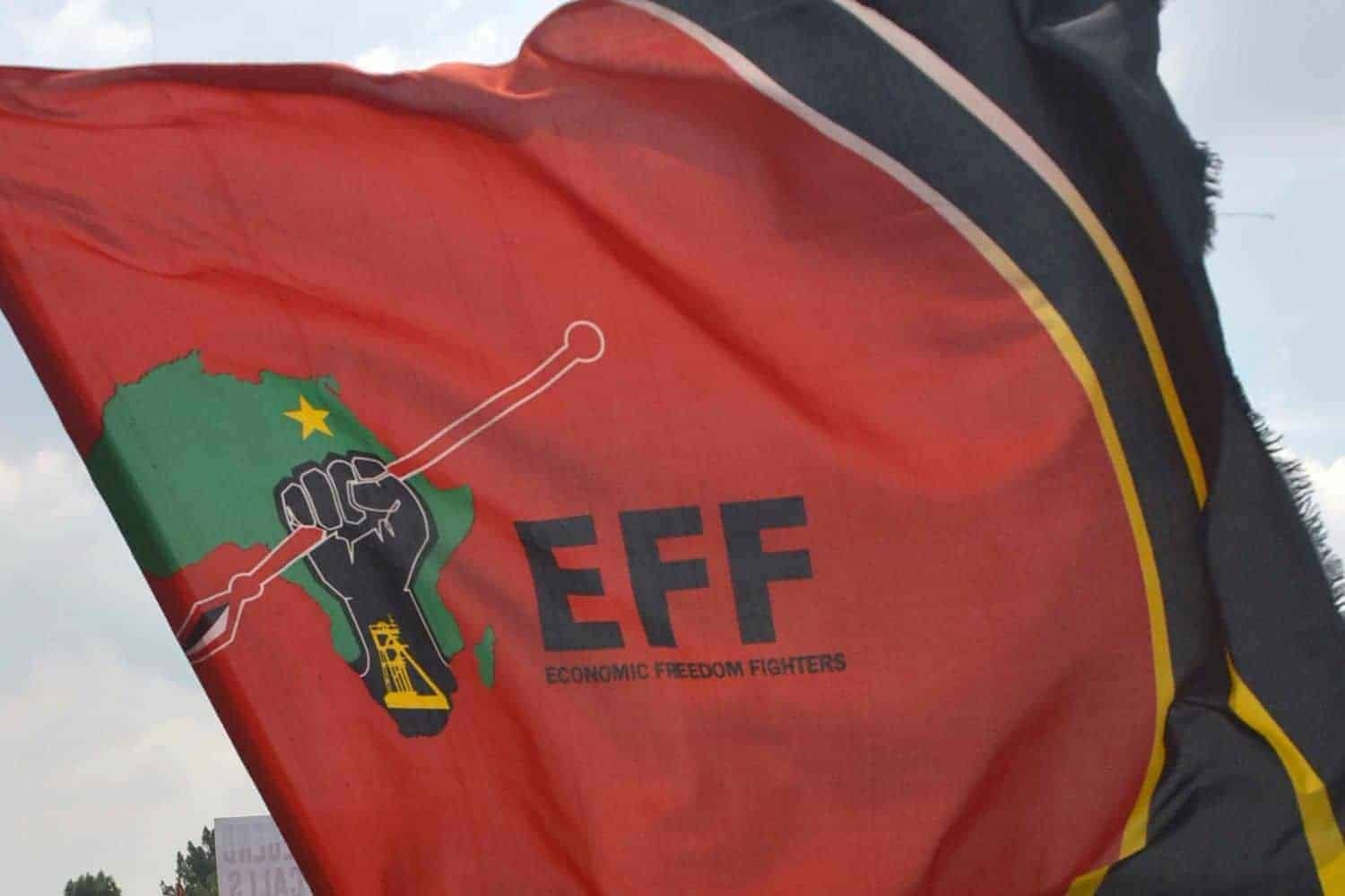 EFF calls for Ad Hoc Committee investigation into Mkhwanazi's allegations, rejects portfolio committee investigations