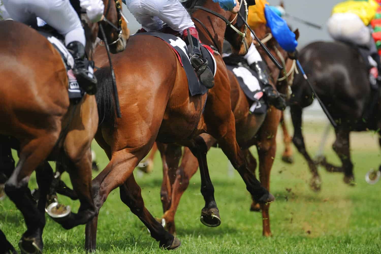 Litigation is ready for Durban July call up, says Tarry