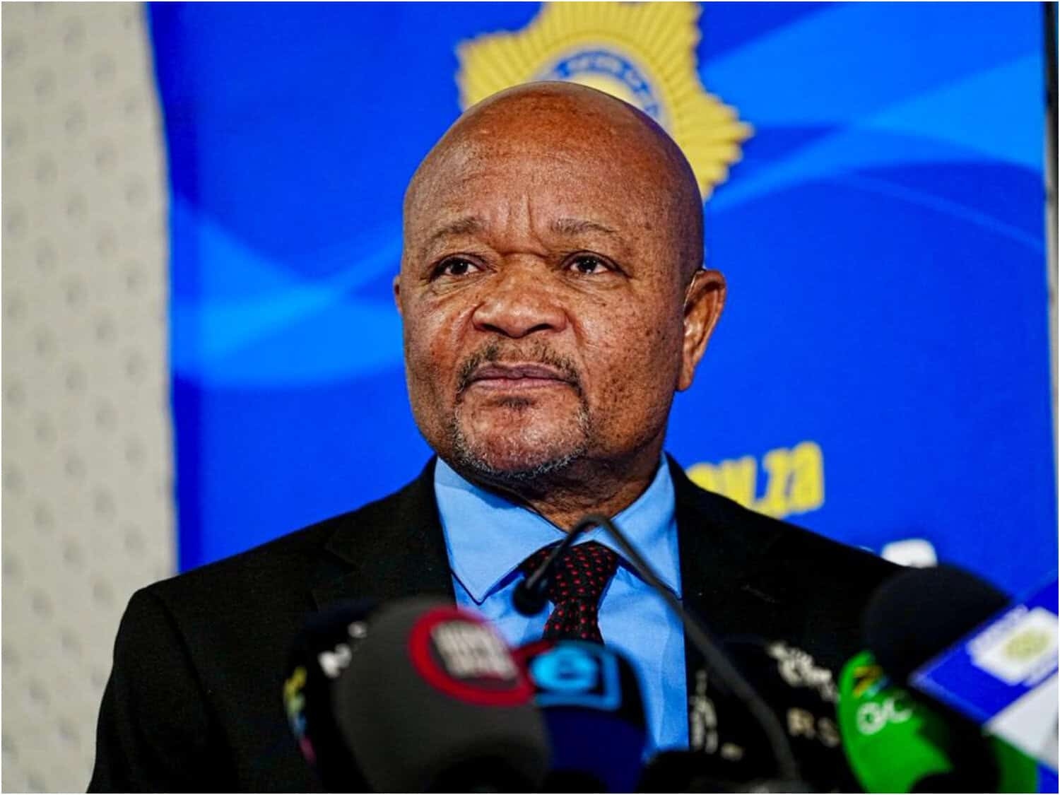 Senzo Mchunu investigation will take longer to finalise, says Public Protector