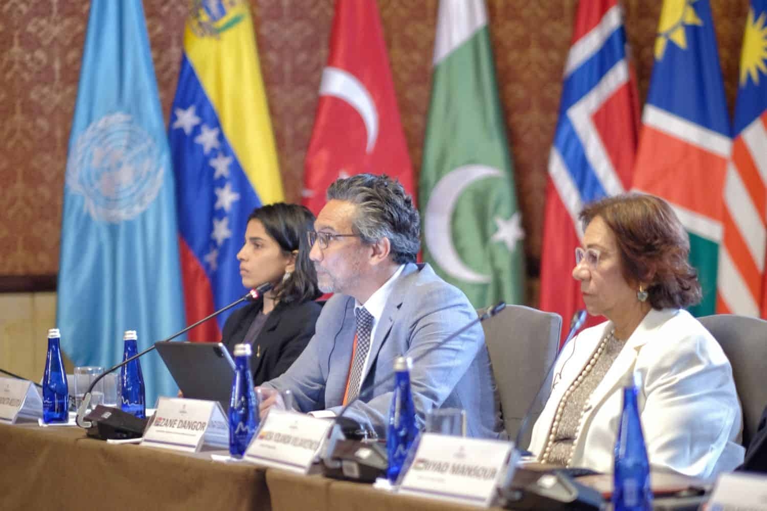 Dirco calls for global action to stop Israel's ‘genocide' in Gaza