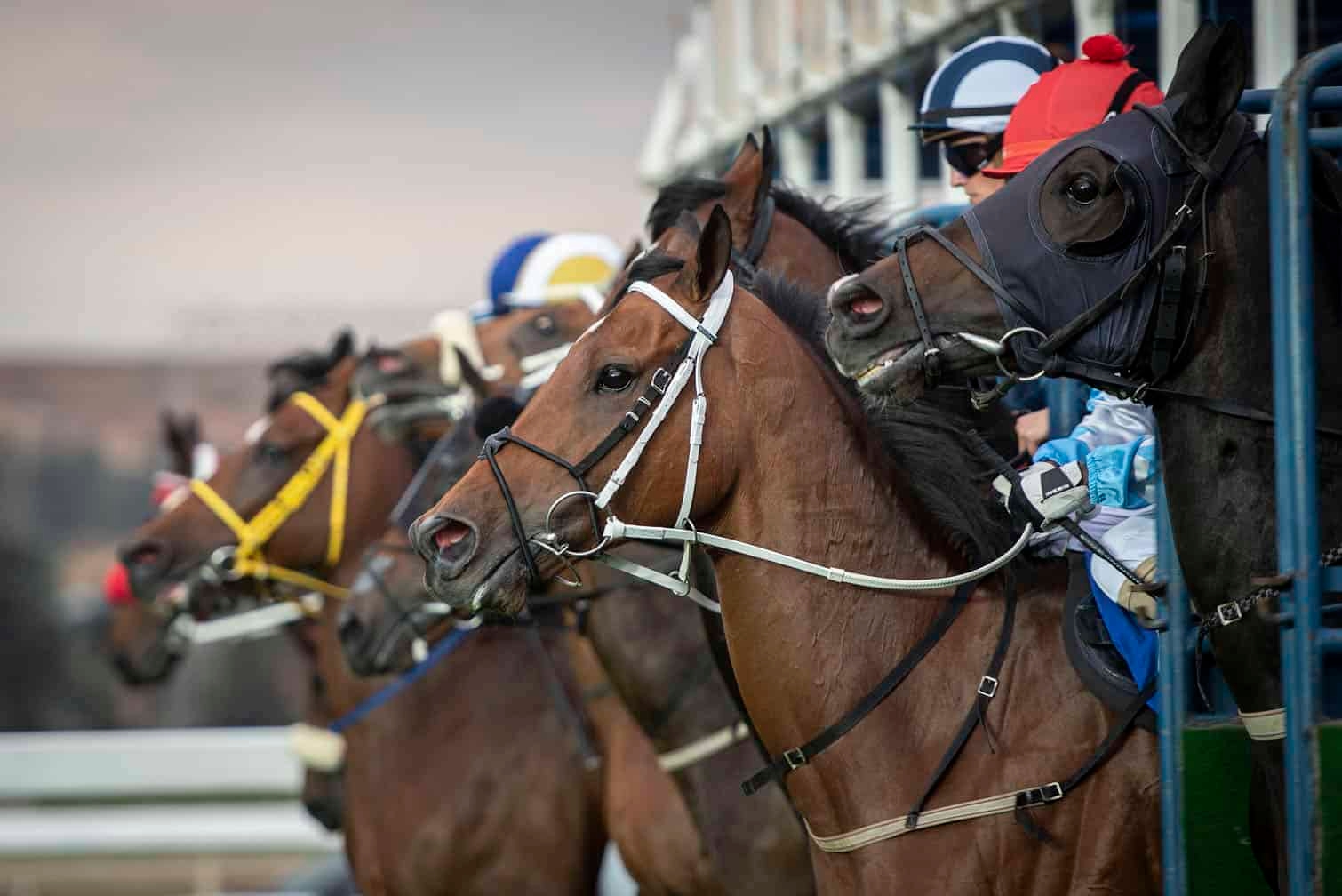 July day eyes on Pick 6's R15m prize