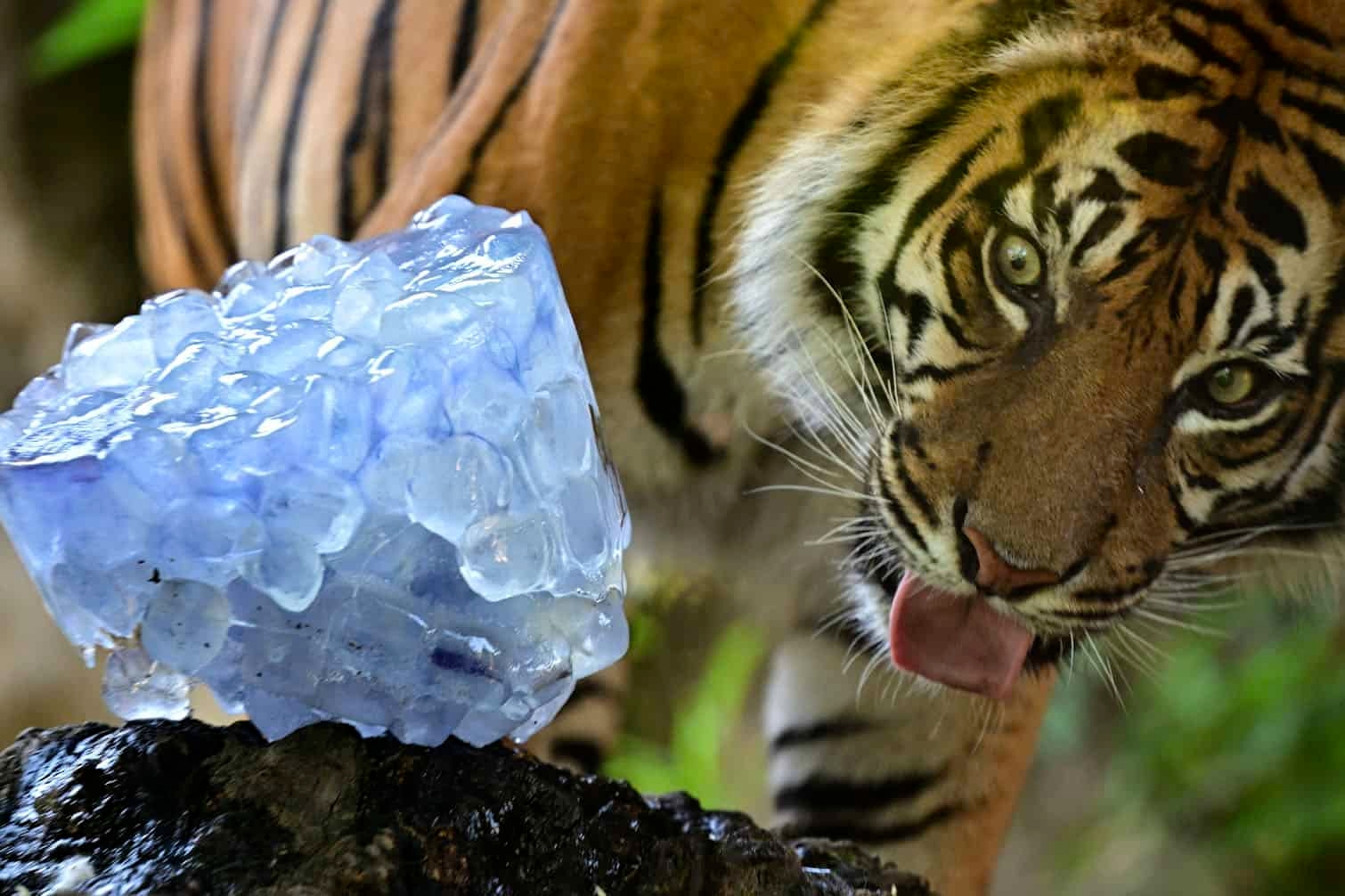 24 hours in pictures, 3 July 2025