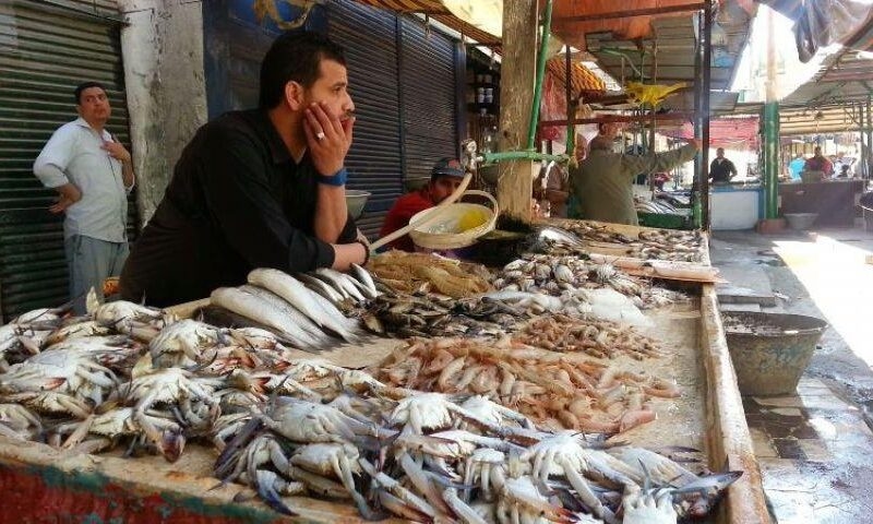 أسعار الأسماك والمأكولات البحرية اليوم الاثنين 7 يوليو 2025