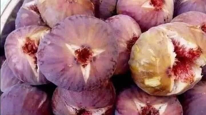 ماذا يحدث لجسمك عند تناول التين البرشومي؟