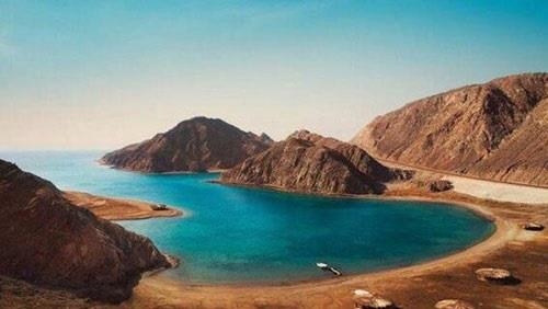 الذئب الذهبي .. أحدث اكتشافات محمية نبق