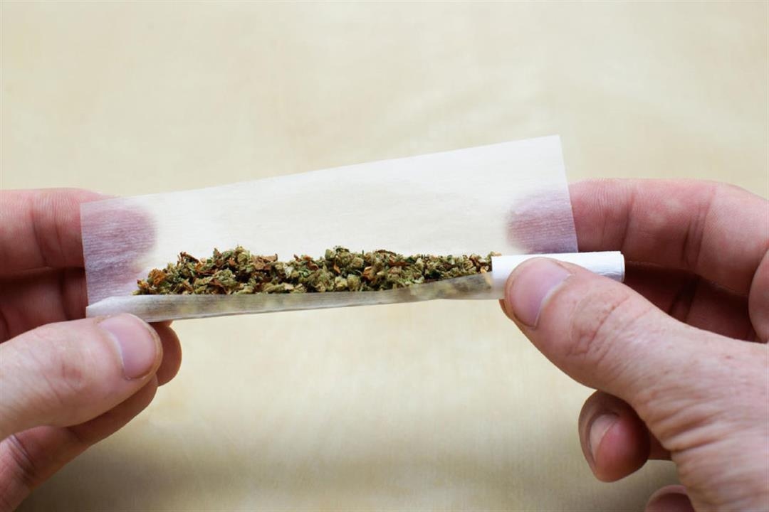 حكم شرب الحشيش والعقوبة المترتبة على ذلك.. دار الإفتاء تجيب