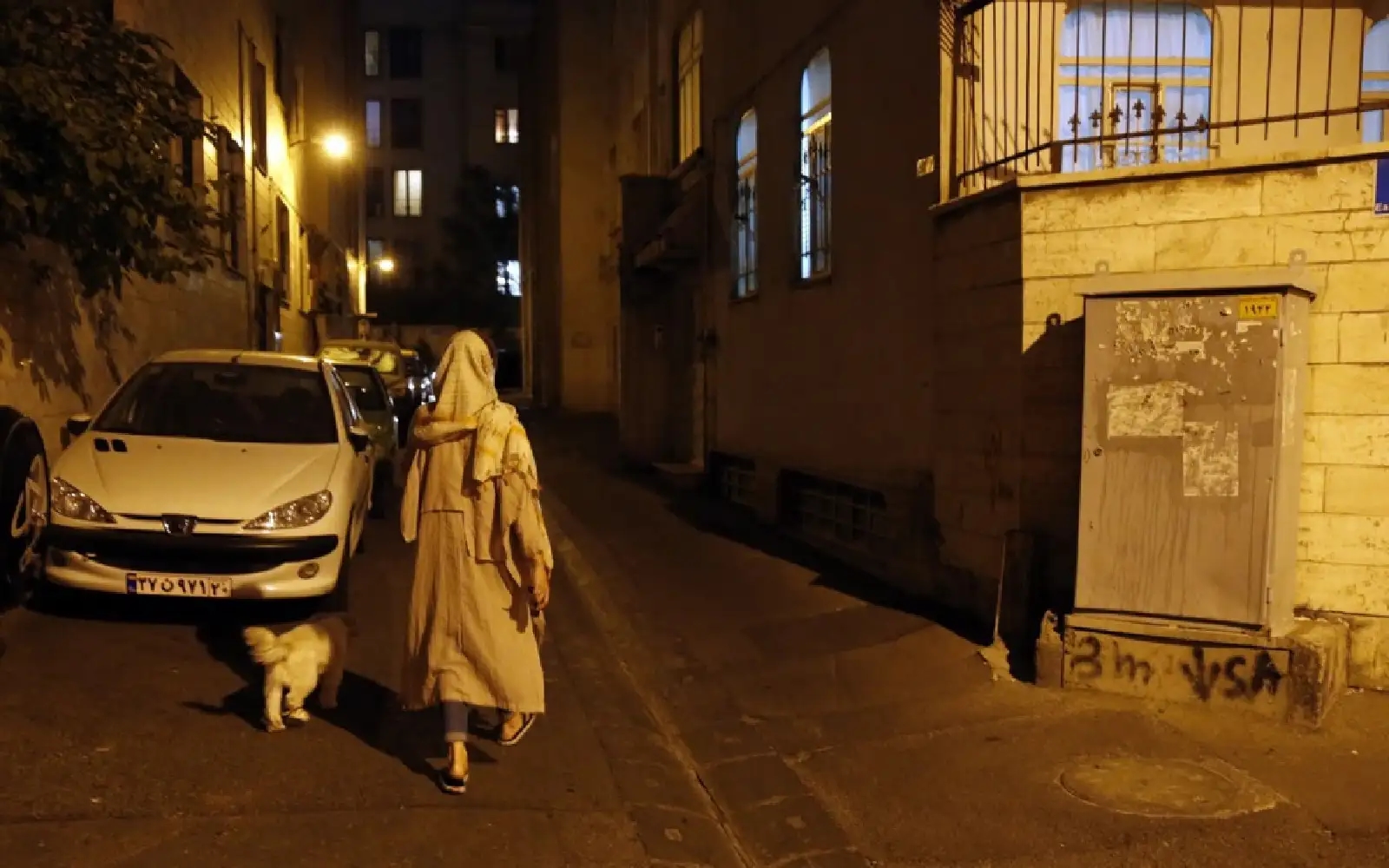 Authorities expand dog walking ban in Iran