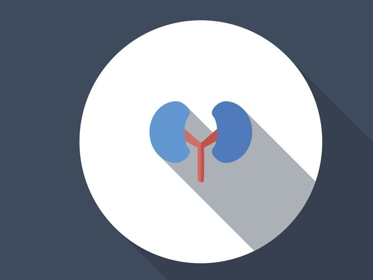 Kidney Function Tests