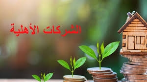 وزارة المالية : 67 شركة أهلية مولها البنك التونسي للتضامن إلى غاية 9 جوان الماضي