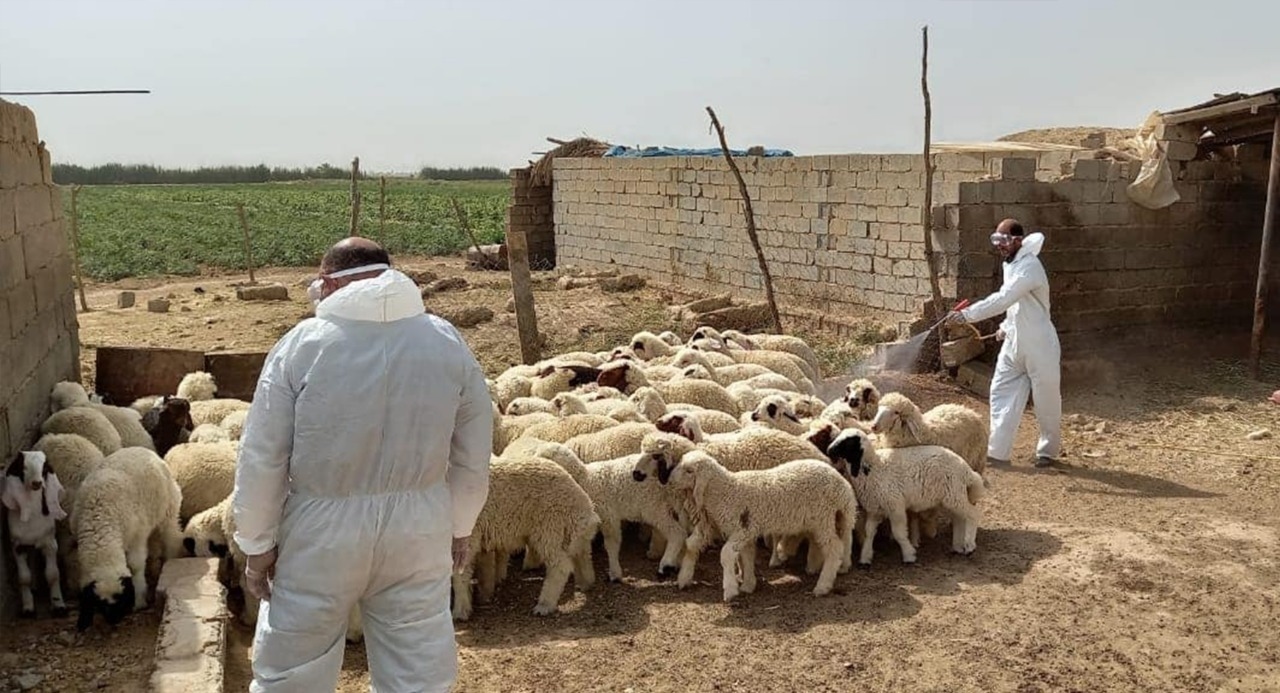 Iraq's Dhi Qar: First hemorrhagic fever case of 2025
