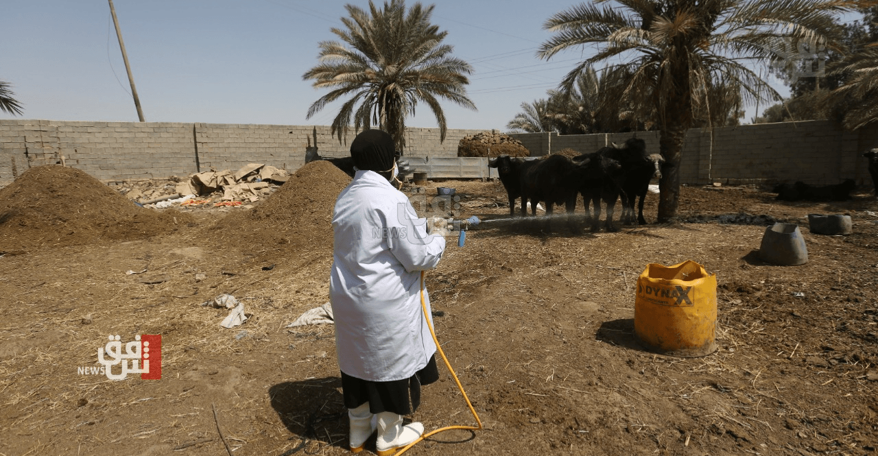 تسجيل أول حالة وفاة مؤكدة بـ"الحمى النزفية" في ميسان
