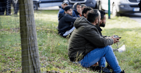 Germany seeks to resume Afghan and Syrian deportations