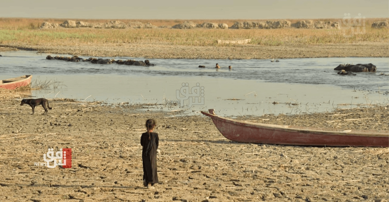 Iraq watchdog: Turkiye's pledges won't stop drought fallout