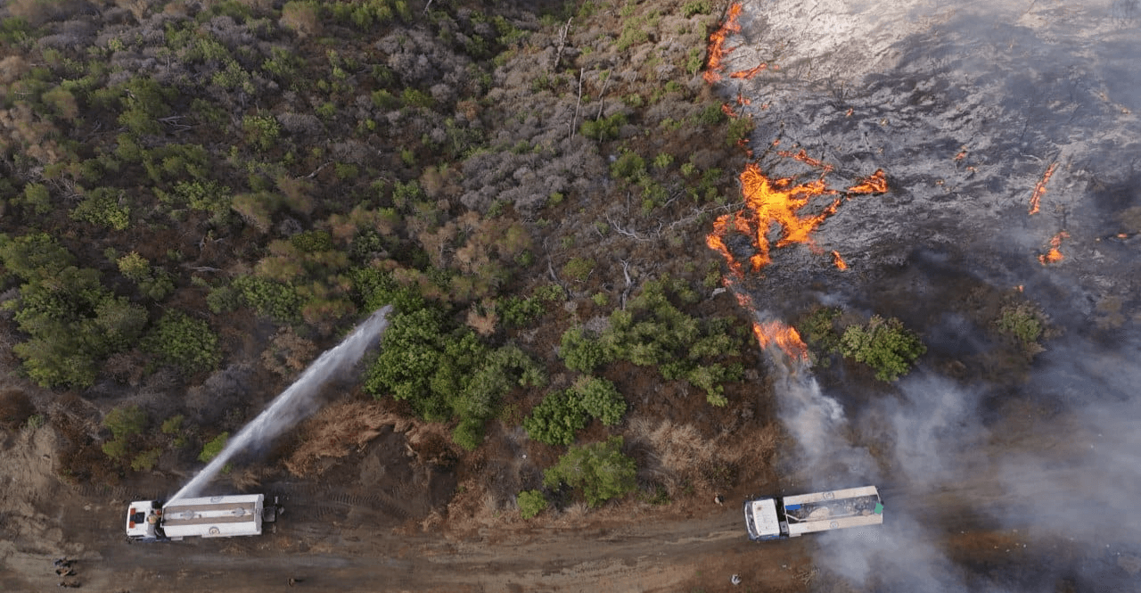 Autonomous Administration offers help as wildfires ravage Syria's coastal forests