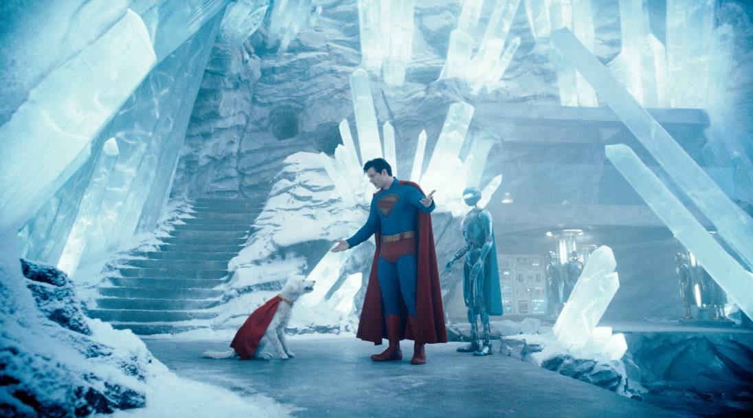 NYC dogs can compete in a Superdog competition in honor of the 'Superman' movie