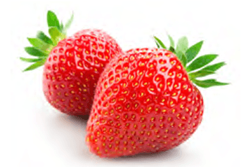 Sysco 2024 Sustainability Report: Responsibly Managing Pests