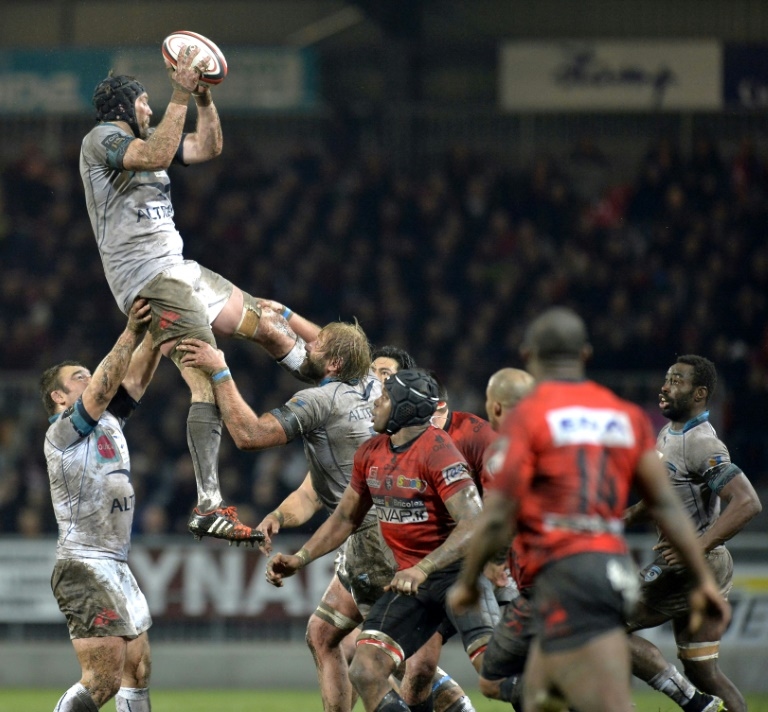 Wallabies hire New Zealand's Donnelly to help Schmidt