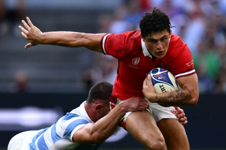 Rees-Zammit to return to rugby after NFL dream ends