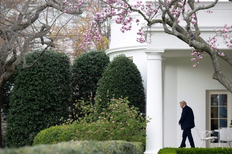 Meme politics: White House embraces aggressive alt-right online culture