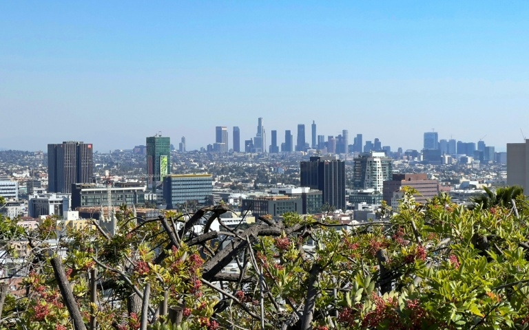 Iran diaspora in Los Angeles dream of 'regime change'