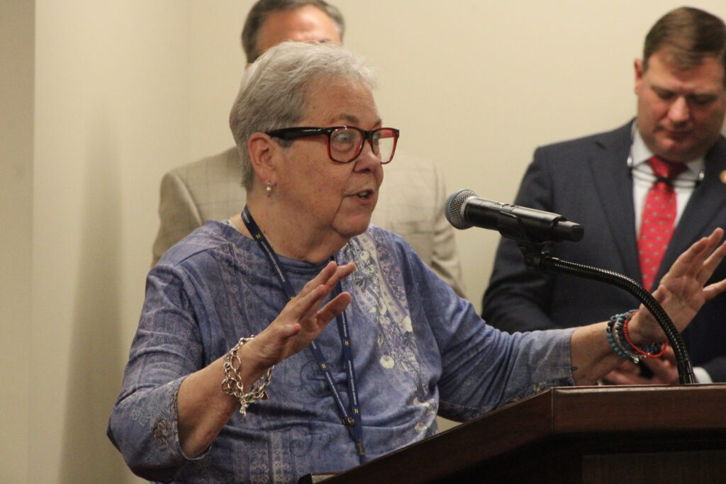 ‘Don't Say Gay' expansion, misgendering bills draw criticism in House public hearing