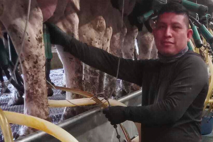 A Vermont dairy farm was raided. The mixed messages from Washington since then have increased fears