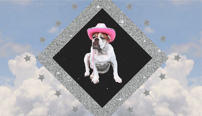 Your Daily DogScope for July 09, 2025