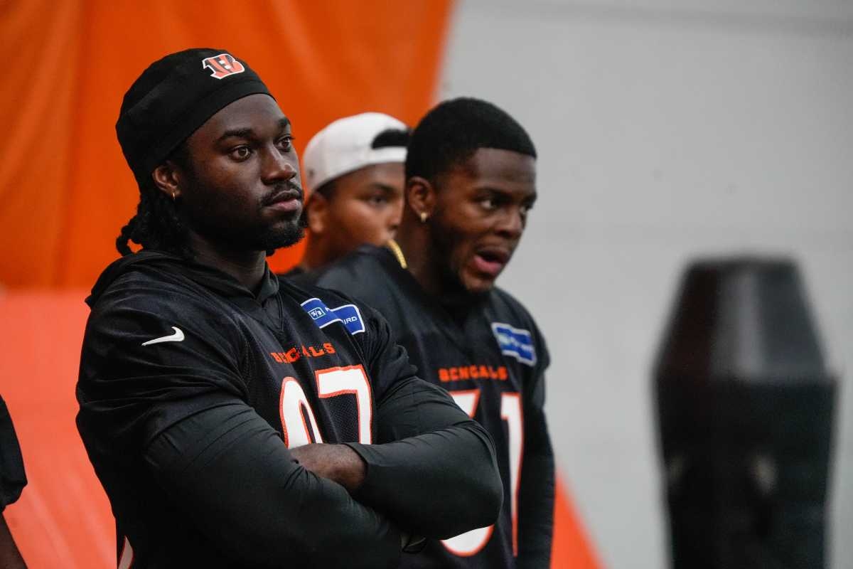 Bengals' Defense Described as 'Ugly' Entering 2025 Season